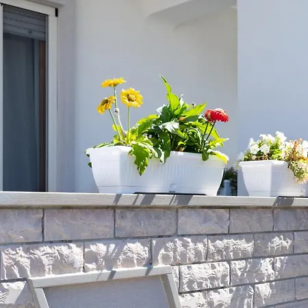 Frühstückspension Vele D'otranto